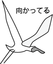 Black faced Spoonbill sticker #10615011