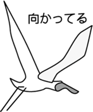 Black faced Spoonbill sticker #10615011