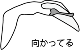 Black faced Spoonbill sticker #10615014
