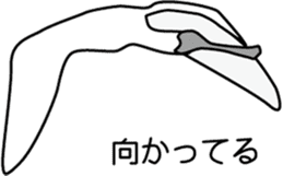 Black faced Spoonbill sticker #10615014