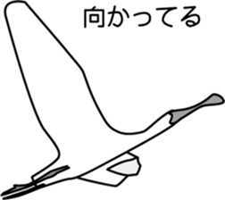 Black faced Spoonbill sticker #10615015