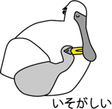 Black faced Spoonbill sticker #10615017