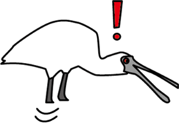 Black faced Spoonbill sticker #10615027