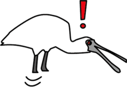 Black faced Spoonbill sticker #10615027