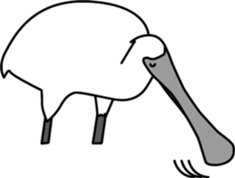 Black faced Spoonbill sticker #10615029