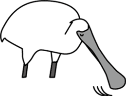 Black faced Spoonbill sticker #10615029