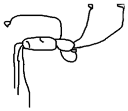 upside-down man sticker #10615120