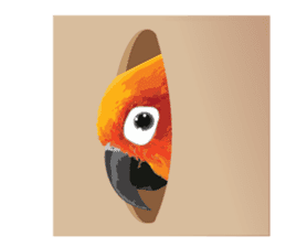 Sun Conure Parrot sticker #10615279