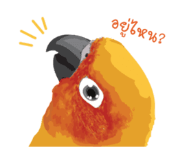 Sun Conure Parrot sticker #10615280