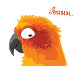Sun Conure Parrot sticker #10615282