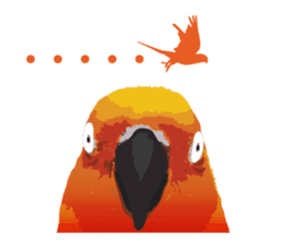 Sun Conure Parrot sticker #10615283