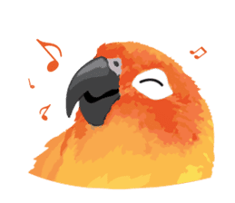 Sun Conure Parrot sticker #10615284