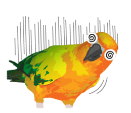 Sun Conure Parrot sticker #10615285