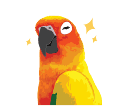 Sun Conure Parrot sticker #10615286