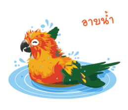 Sun Conure Parrot sticker #10615292