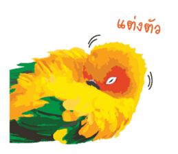 Sun Conure Parrot sticker #10615293
