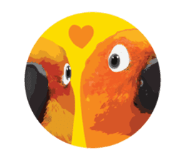 Sun Conure Parrot sticker #10615295