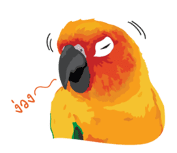 Sun Conure Parrot sticker #10615299