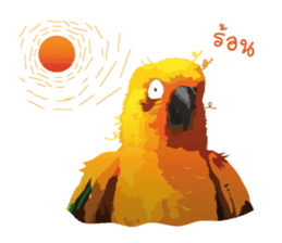 Sun Conure Parrot sticker #10615301