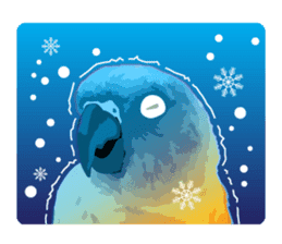 Sun Conure Parrot sticker #10615302