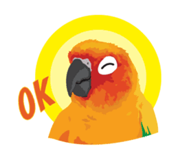 Sun Conure Parrot sticker #10615304