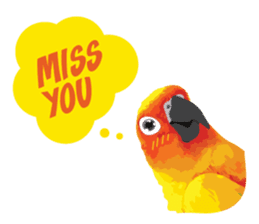 Sun Conure Parrot sticker #10615305
