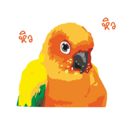 Sun Conure Parrot sticker #10615306
