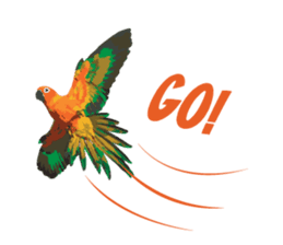 Sun Conure Parrot sticker #10615307