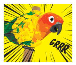 Sun Conure Parrot sticker #10615311