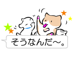speech bubble and cat sticker #10617308
