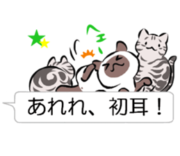 speech bubble and cat sticker #10617314