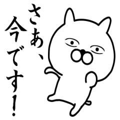 a cat looking from above