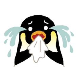 Parent-child penguin sticker #10618641