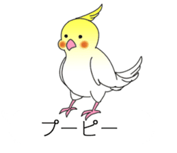 Balloon and bird (cockatiel) sticker #10618904