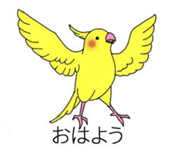 Balloon and bird (cockatiel) sticker #10618907