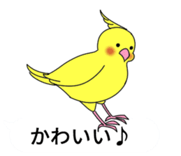 Balloon and bird (cockatiel) sticker #10618923
