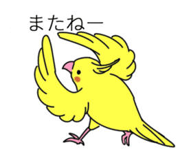 Balloon and bird (cockatiel) sticker #10618926