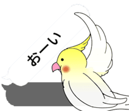 Balloon and bird (cockatiel) sticker #10618927