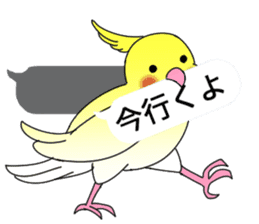 Balloon and bird (cockatiel) sticker #10618934