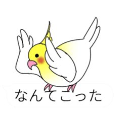 Balloon and bird (cockatiel) sticker #10618941