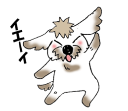 I, tiger Dawan! sticker #10623384