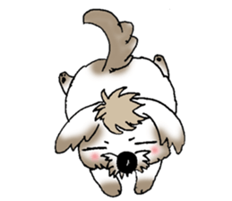 I, tiger Dawan! sticker #10623389