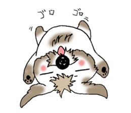 I, tiger Dawan! sticker #10623406