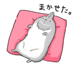 The world of the rabbit sticker #10623483