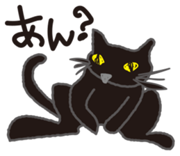 "NEKOTAN" of the black cat sticker #10625035
