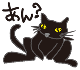 "NEKOTAN" of the black cat sticker #10625035