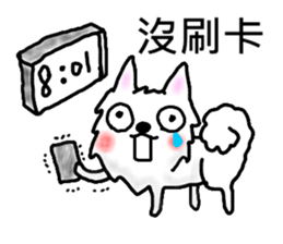 Spitz goes to work sticker #10629491