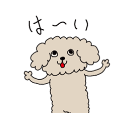 The pooh of Toy Poodle sticker #10631672