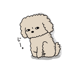 The pooh of Toy Poodle sticker #10631673
