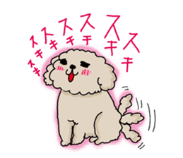 The pooh of Toy Poodle sticker #10631679
